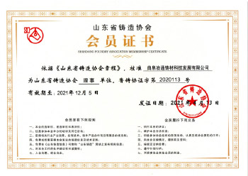 2021山東鑄協理事